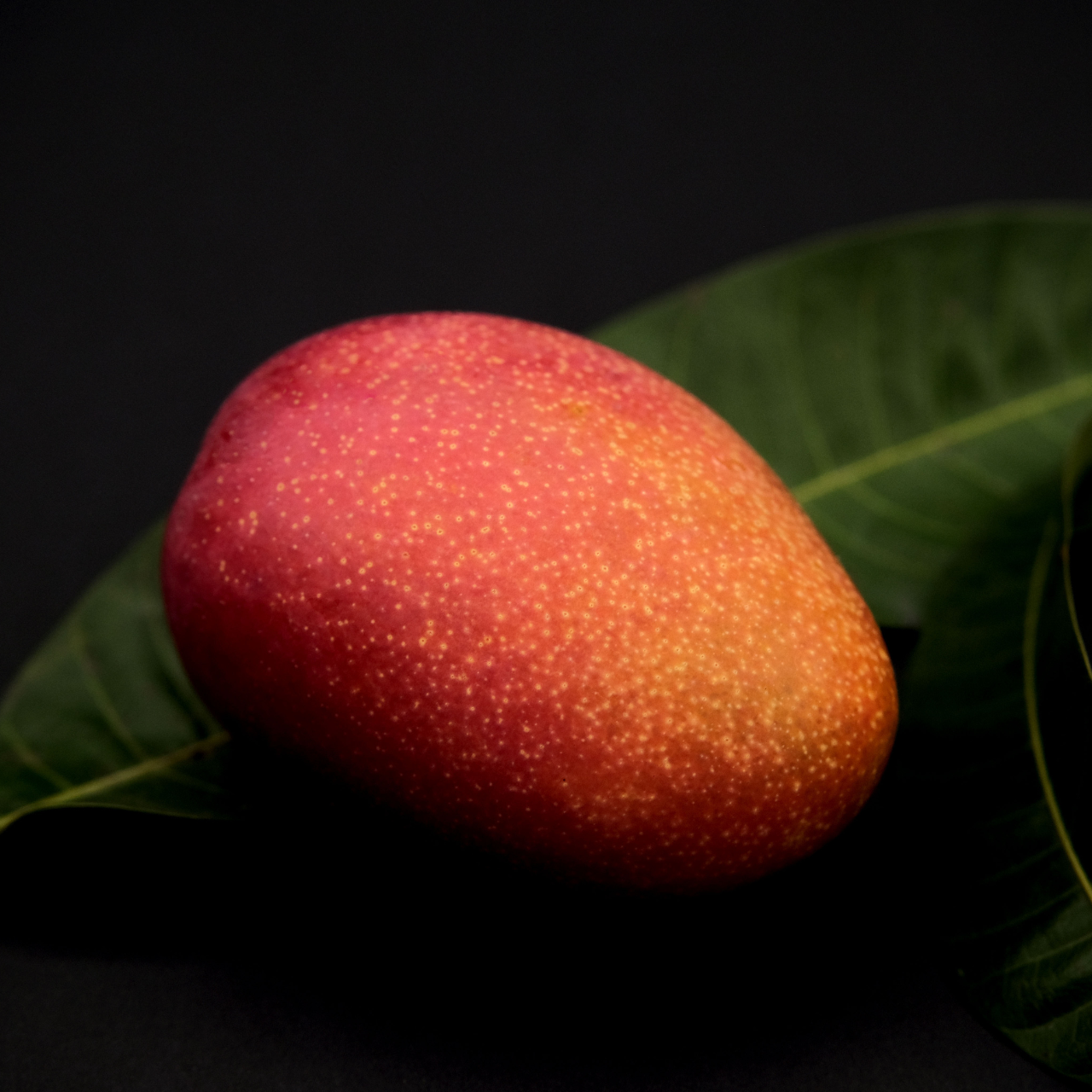 【仲夏限定】台南玉井愛文芒果禮盒