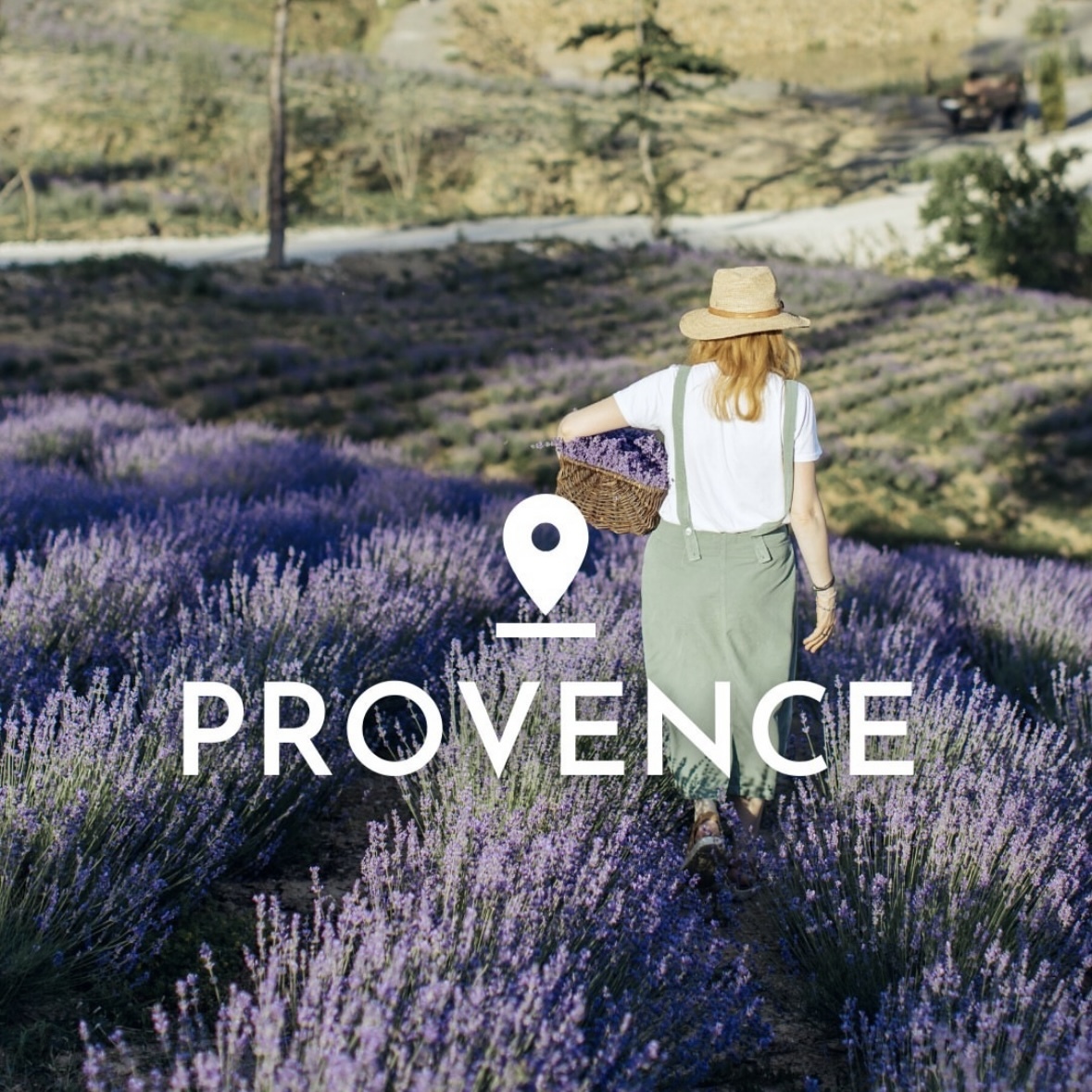 奧瑪薰衣草 | 身體霜 200ml (效期2026.05)