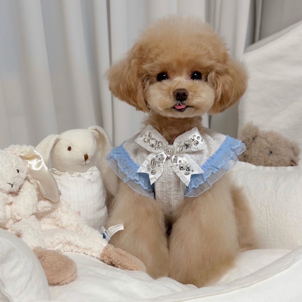 Jella 夏日飄飄袖短版衫