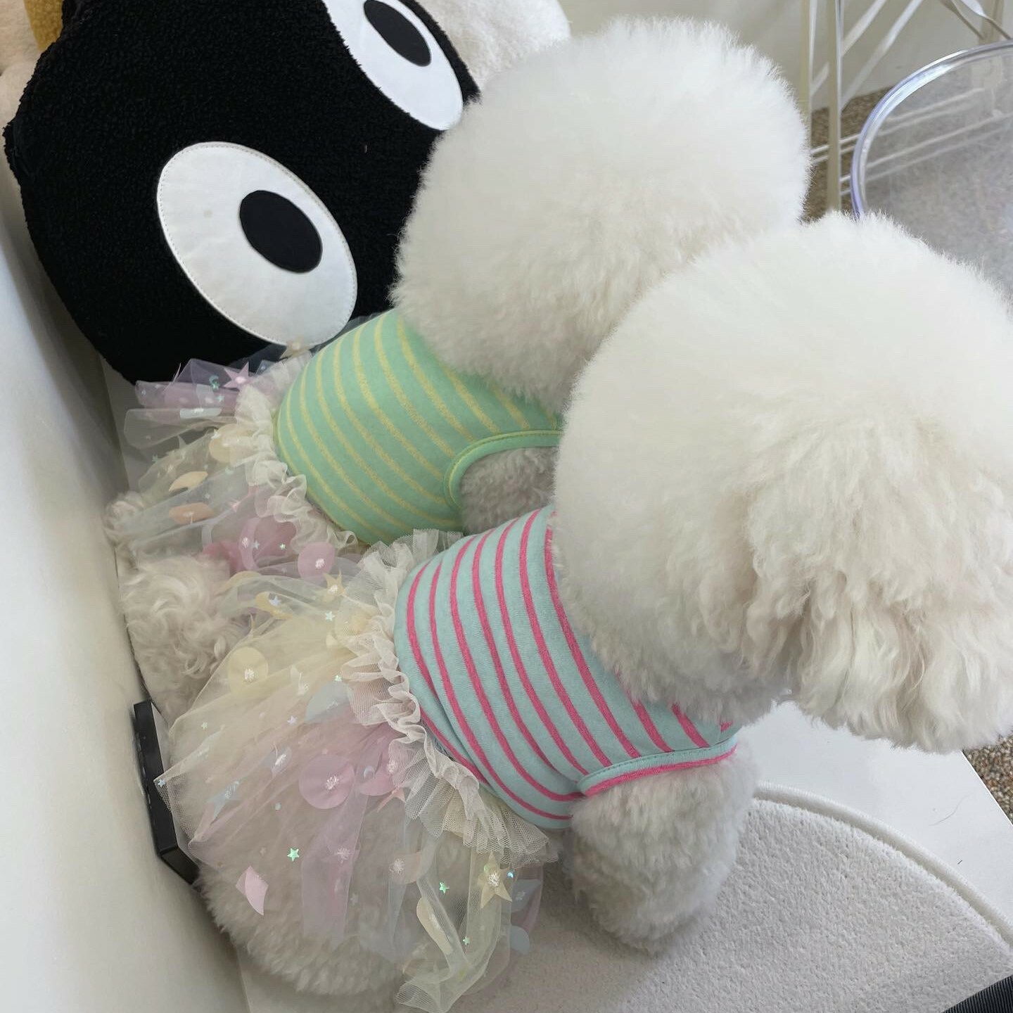 Jella 星月紗裙洋裝