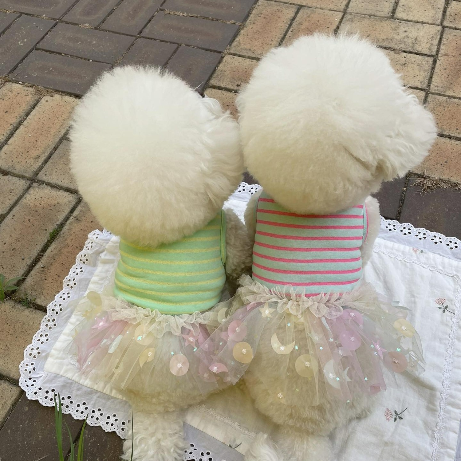 Jella 星月紗裙洋裝