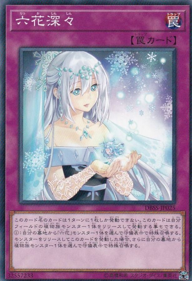 DBSS-JP025 六花深々