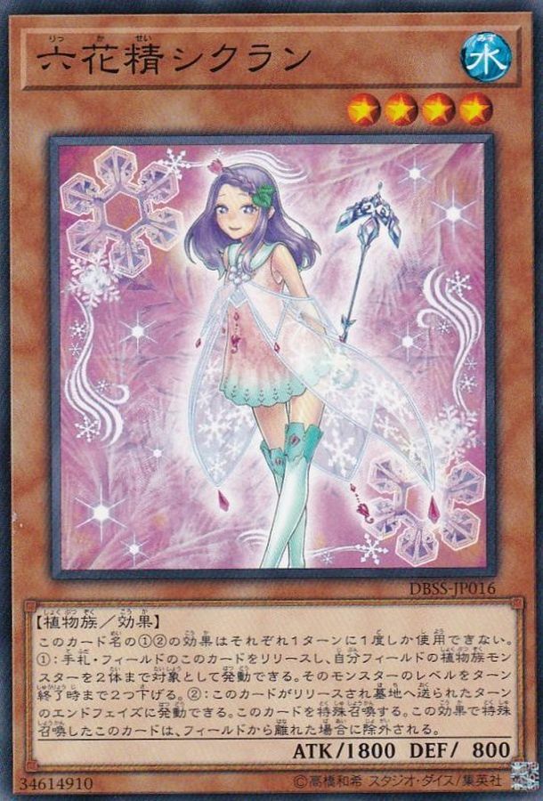DBSS-JP016 六花精シクラン