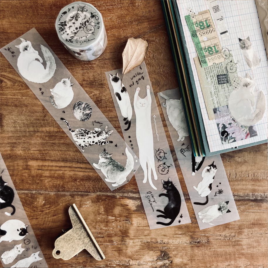 羊君．灰階 貓咪5cm亮面PET紙膠帶 <整捲/分裝>   **改版亮面喔**