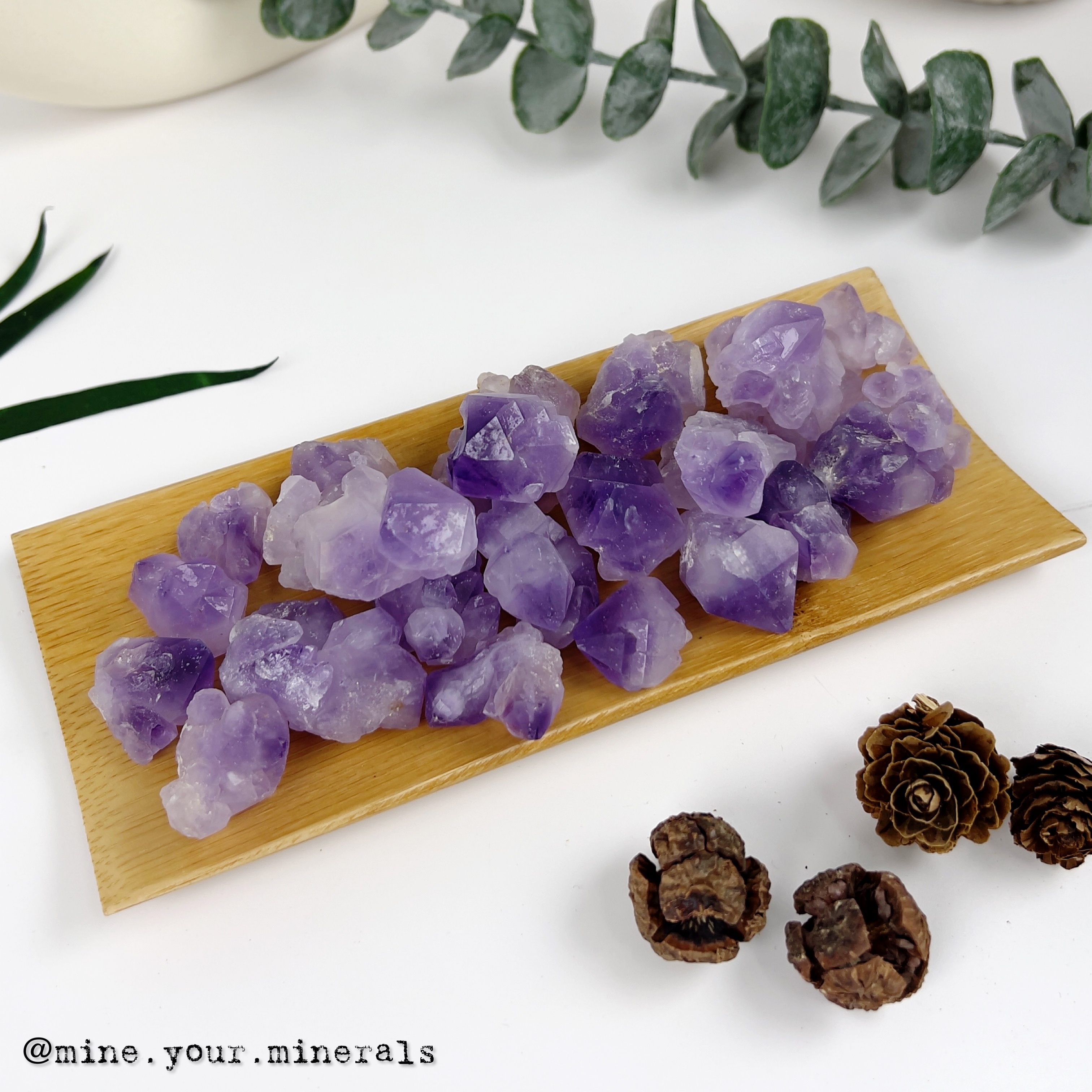 紫水晶花 (100g)