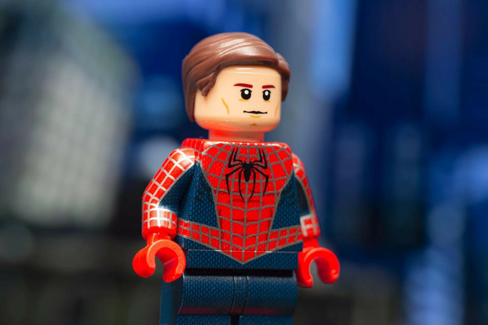 【Lifebrick 】托比蜘蛛