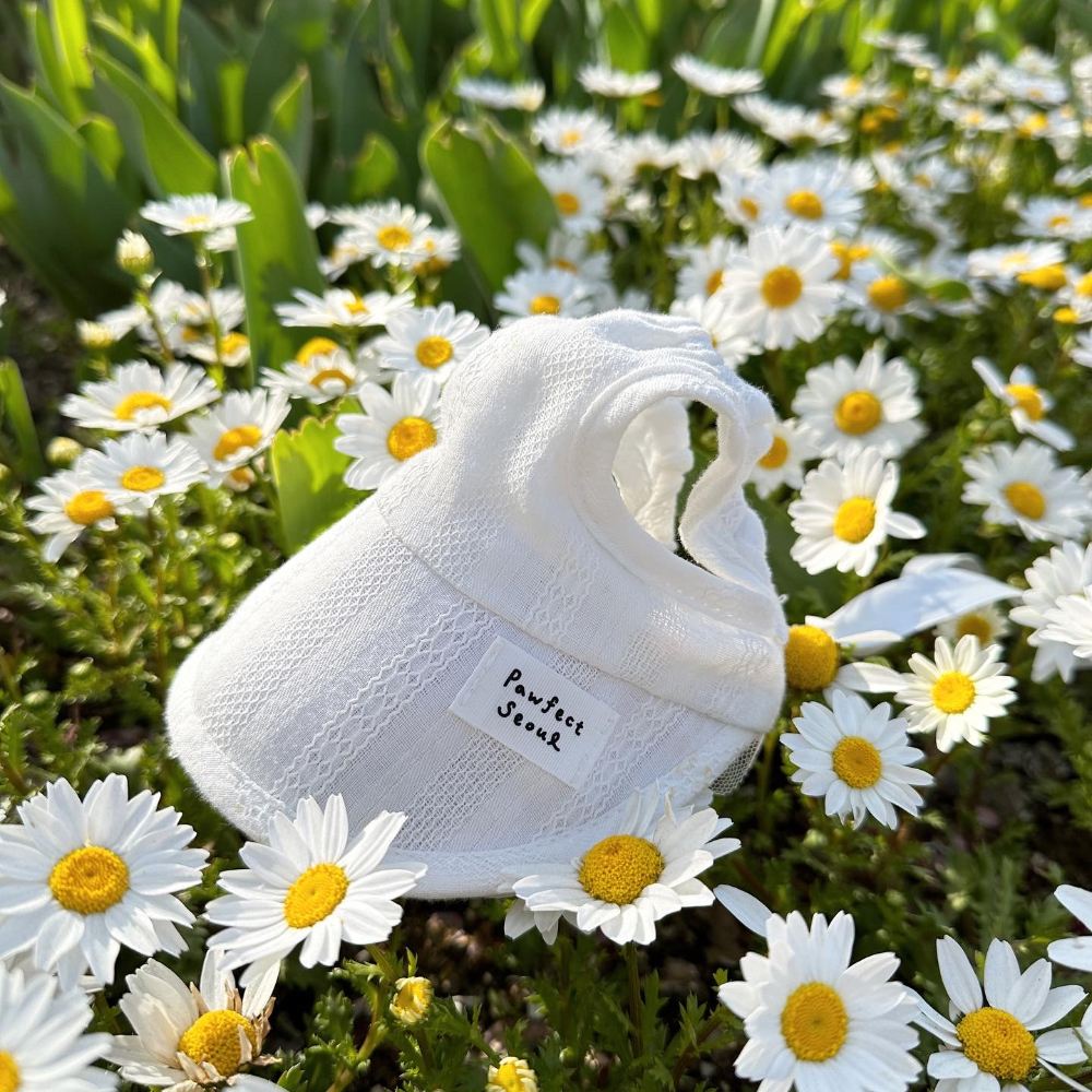 Pawfect Seoul 完美純白遮陽帽