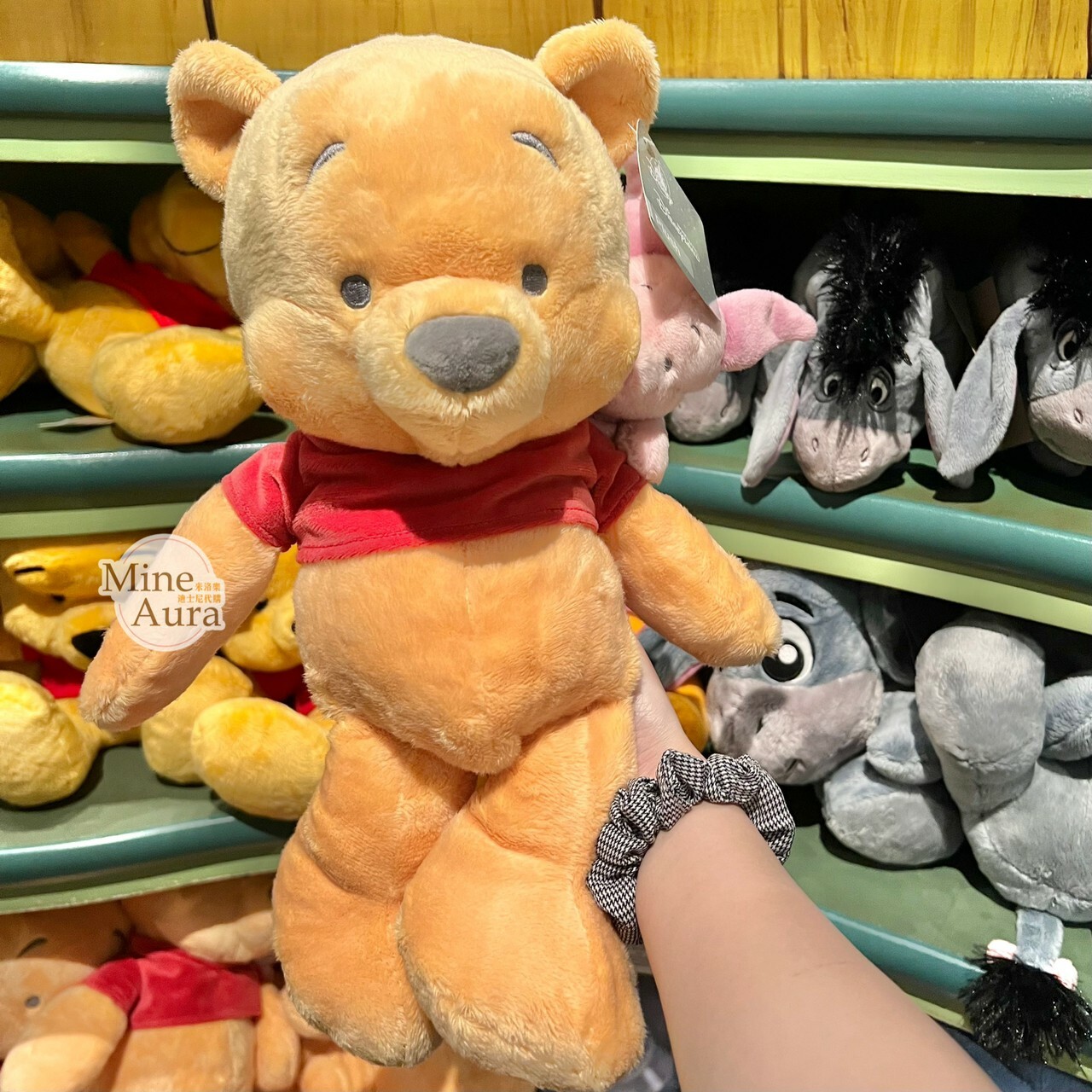 小熊維尼 Winnie the Pooh 背 小豬 皮傑 piglet 娃娃 玩偶 -香港迪士尼樂園