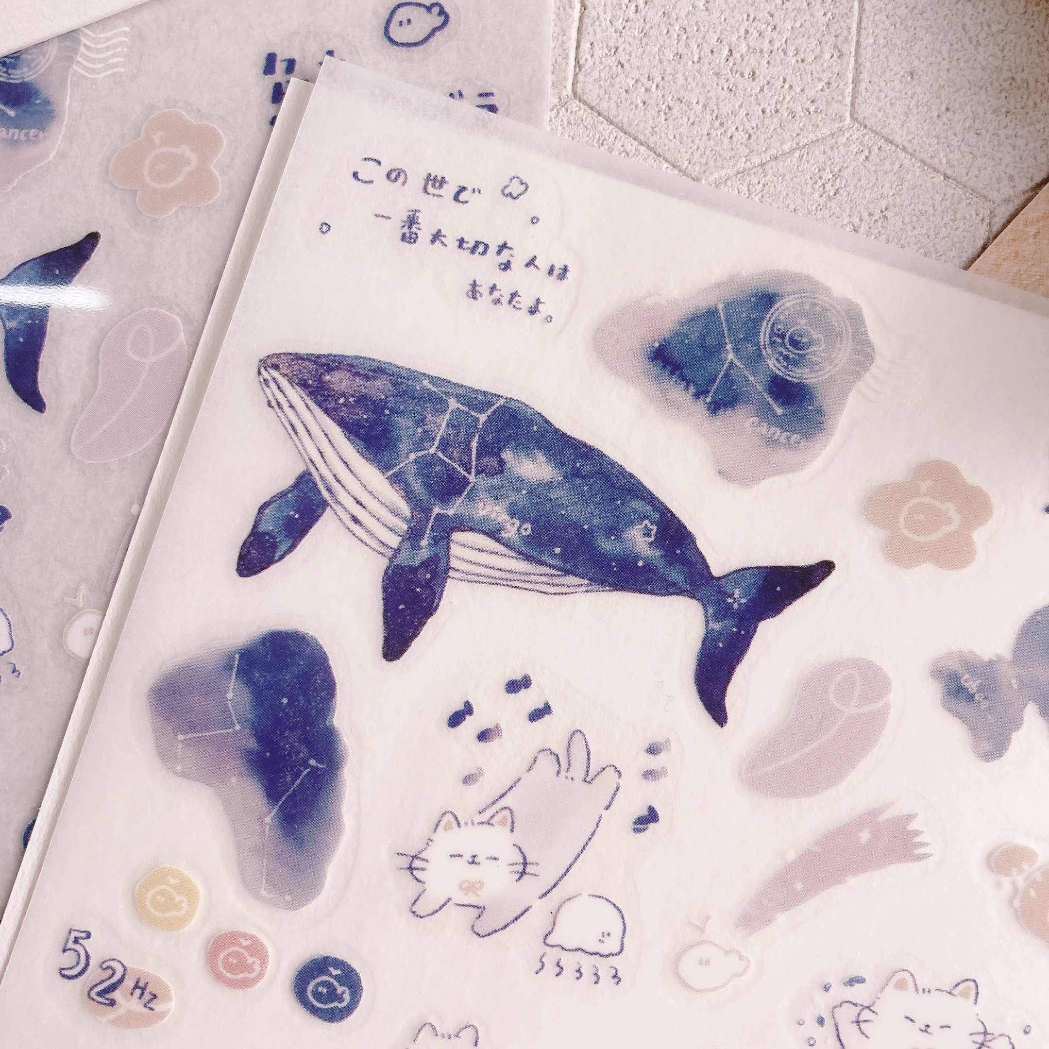 魚餅一隻熊｜鯨魚好朋友 轉印貼紙