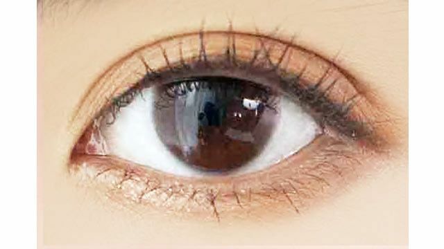 FOMOMY Basic 1Day Color (Basic Brown) 每日即棄有色隱形眼鏡(1DAY)