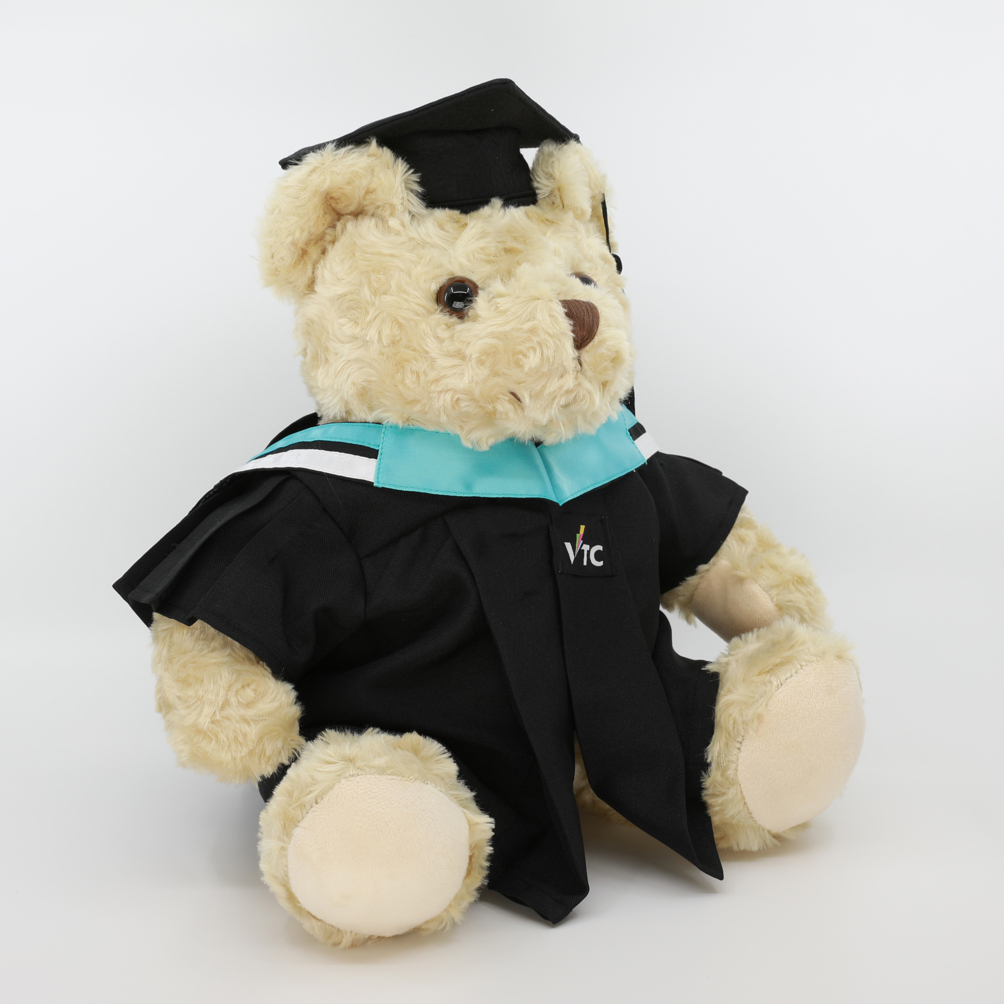 VTC 畢業熊 (文憑及證書)