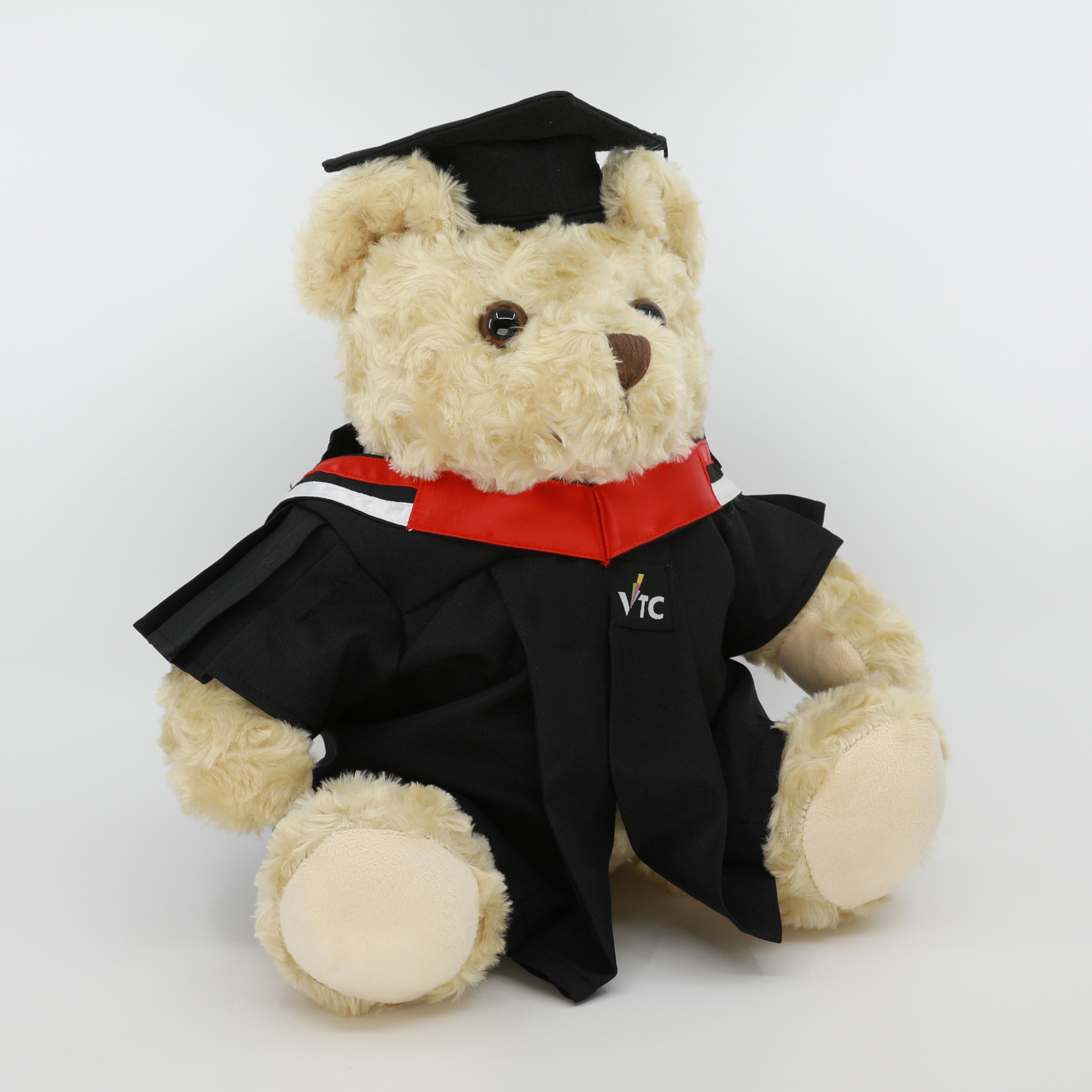 VTC 畢業熊 (高級文憑)