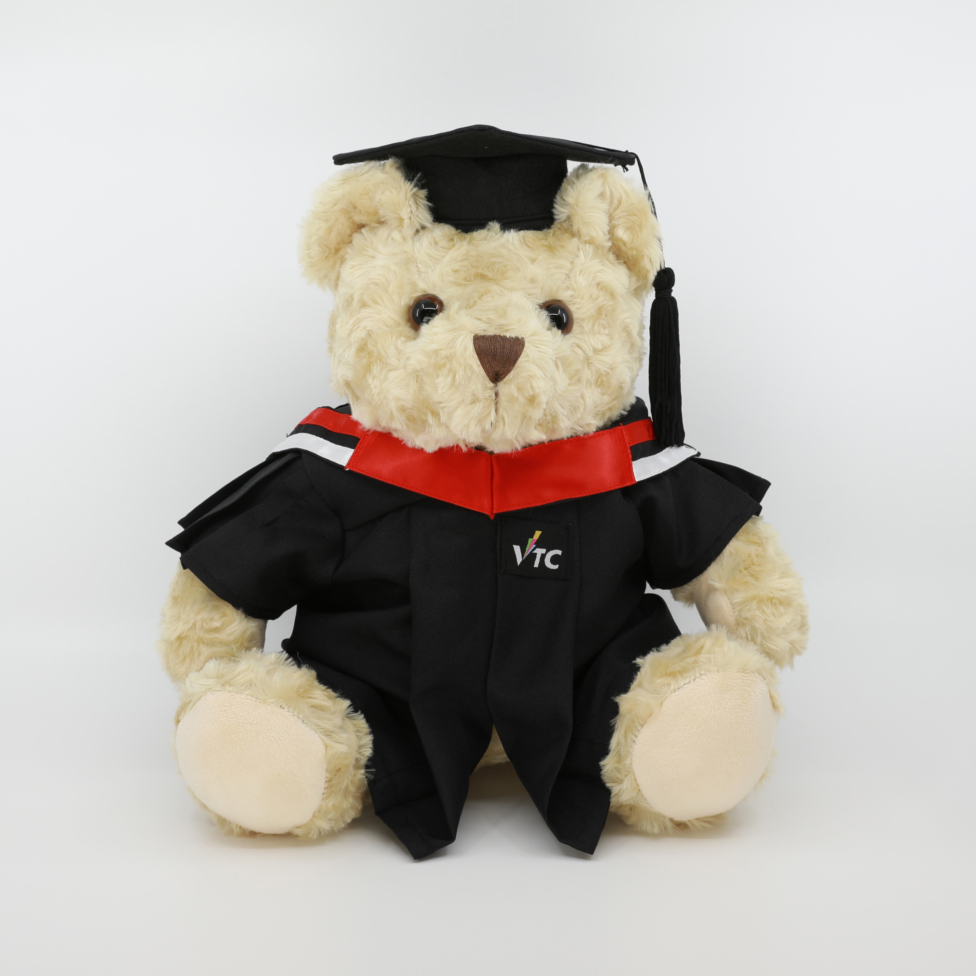 VTC 畢業熊 (高級文憑)