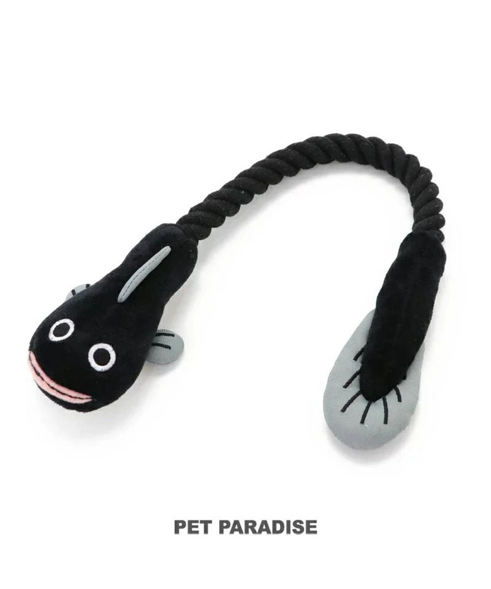 【Pet Paradise】Eel