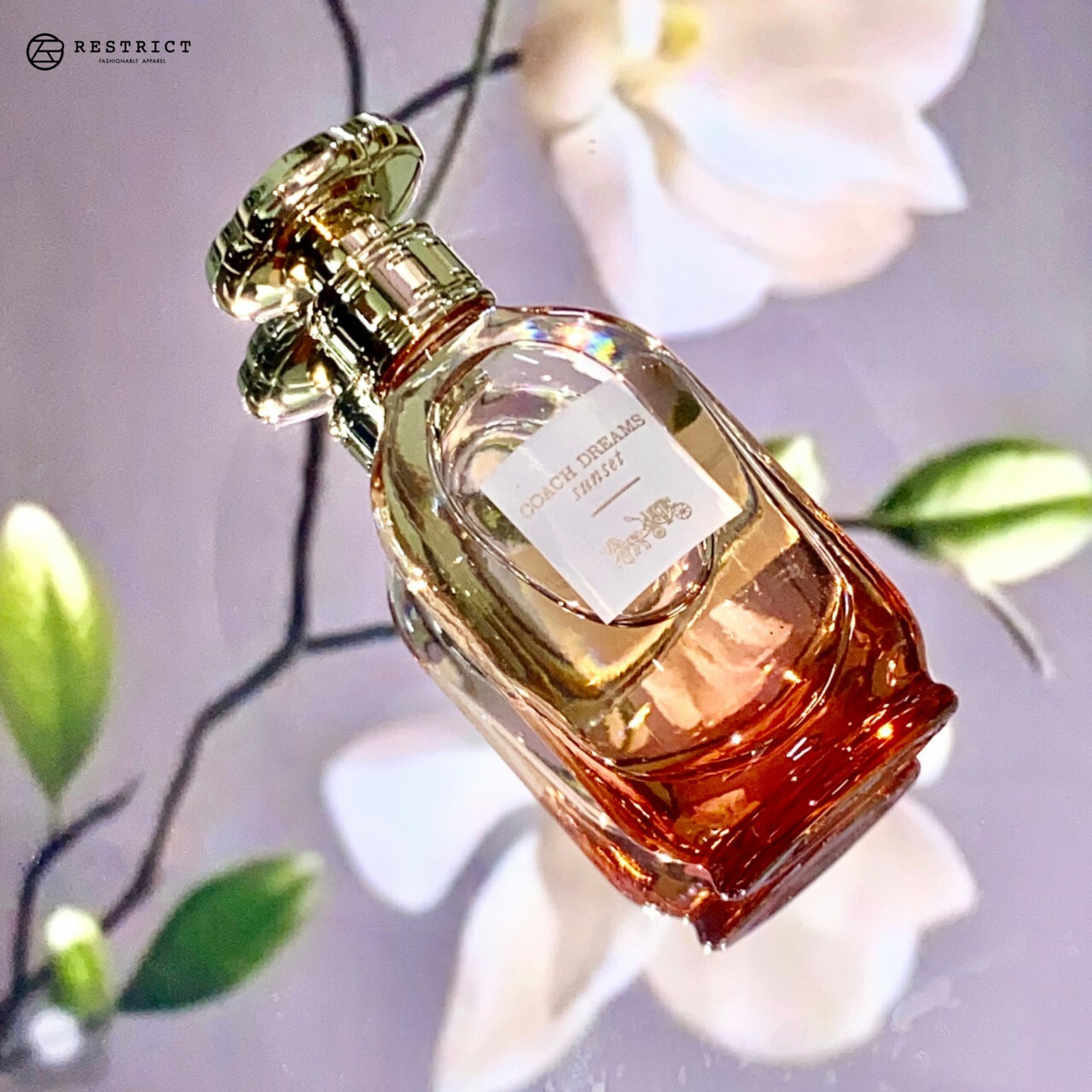 Coach 蔻馳 Dreams Sunset 逐夢暮光女性淡香精
