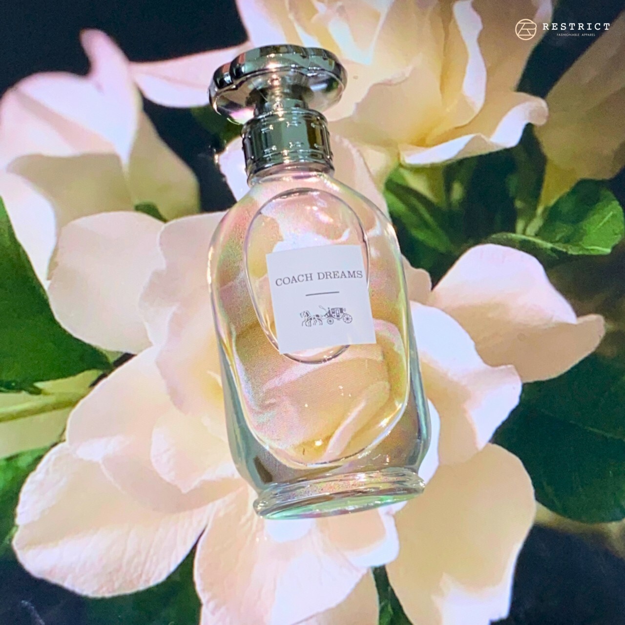 Coach 蔻馳 Dreams 逐夢女性淡香精