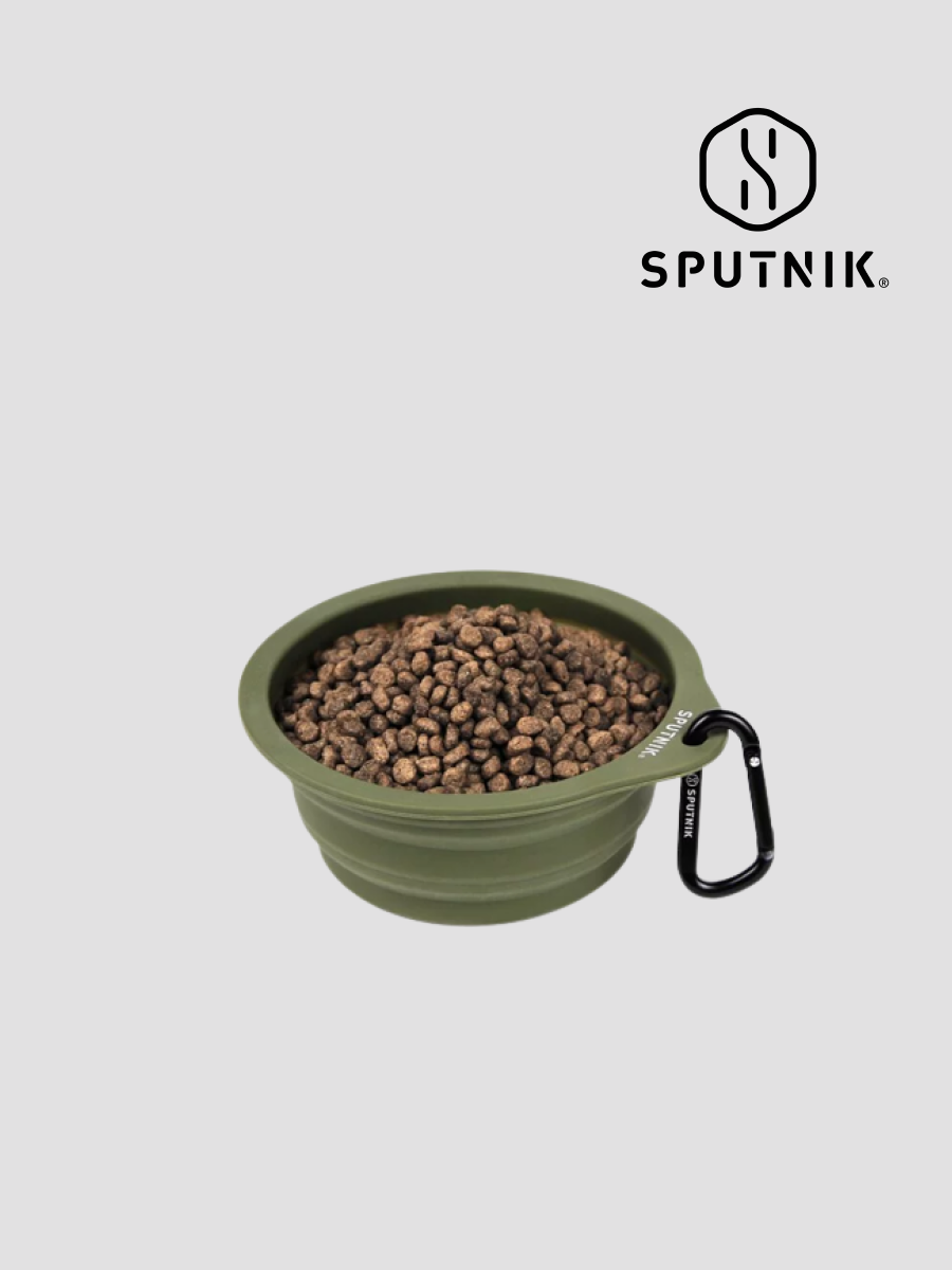 【SPUTNIK】Explore︱寵物折疊碗 綠
