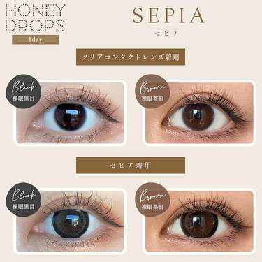 Honey Drops 1 Day SEPIA 日拋有色彩妝隱形眼鏡｜每盒10片