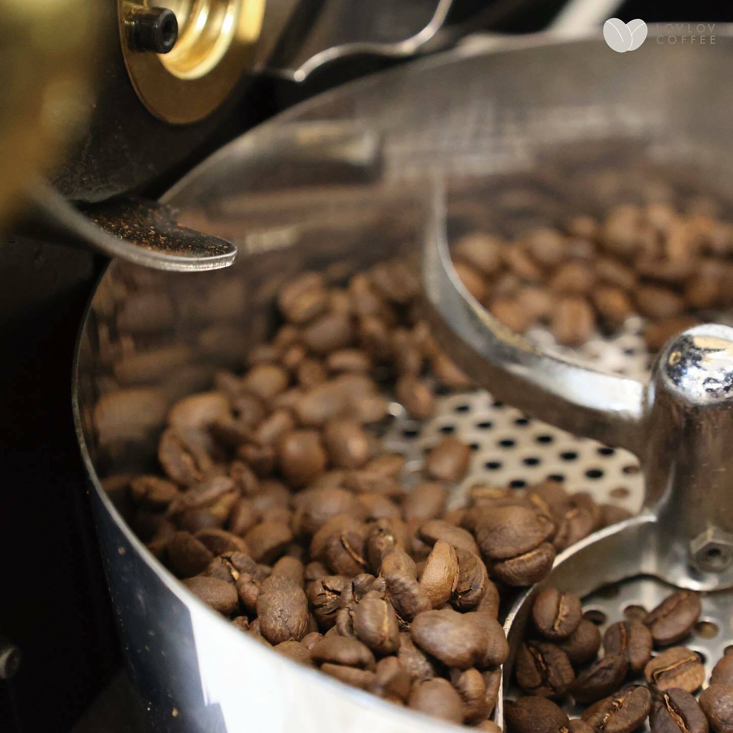 SCA Roasting Foundation & Intermediate 烘焙基礎及中階證書課程