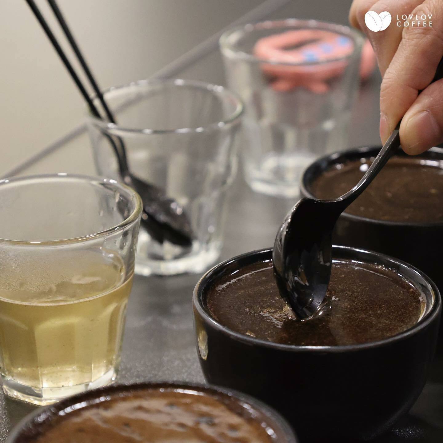 SCA Sensory Foundation & Intermediate 感官基礎及中階證書課程