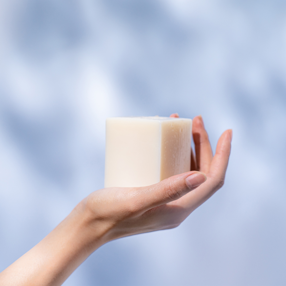 真珠潤澤皂〔身〕