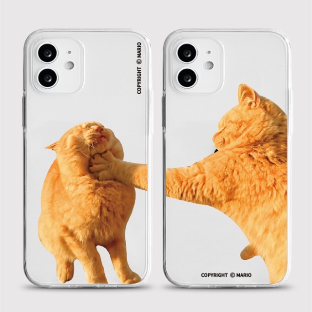 貓貓 打架 透明軟殼