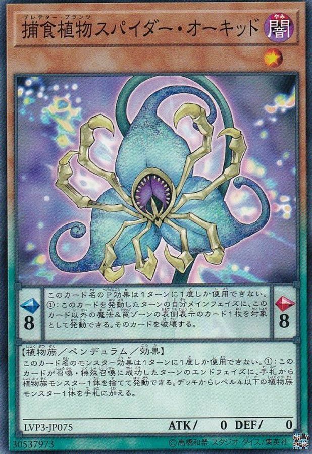 LVP3-JP075 捕食植物スパイダー・オーキッド