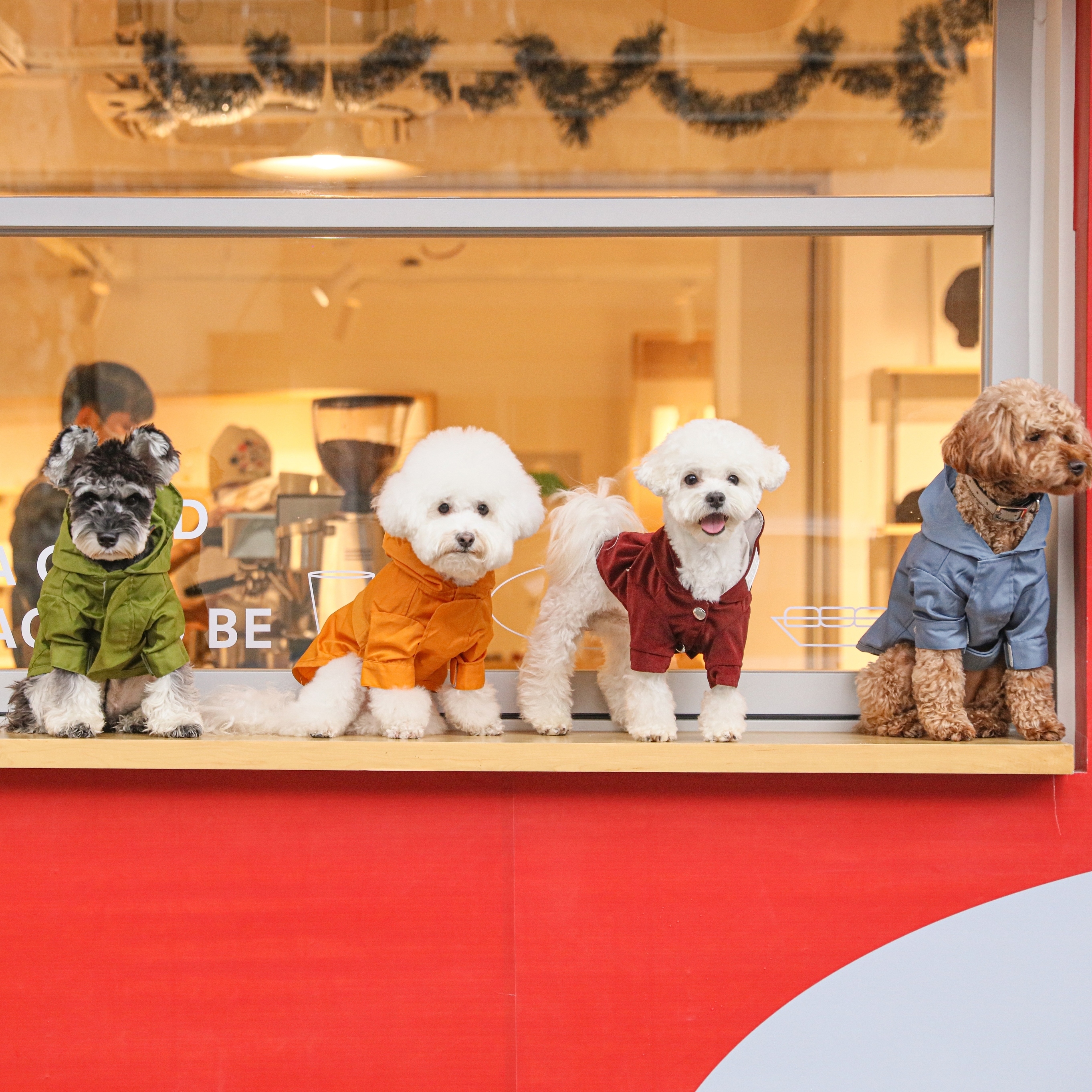 PEHOM | 精選推薦 寵物友善咖啡廳