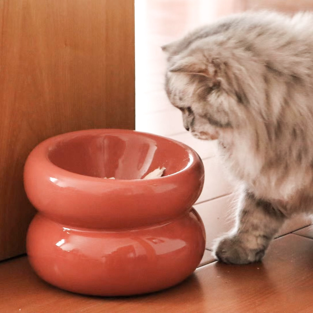 PEHOM | 三招教你挑選貓咪寵物碗