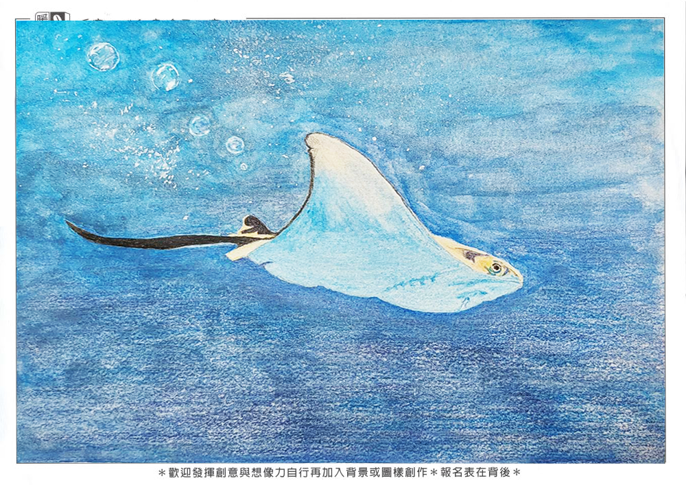 社會組_楊O堯_悠游海中的魟魚(上傳)