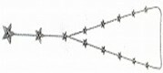 13 STAR NECKLACE