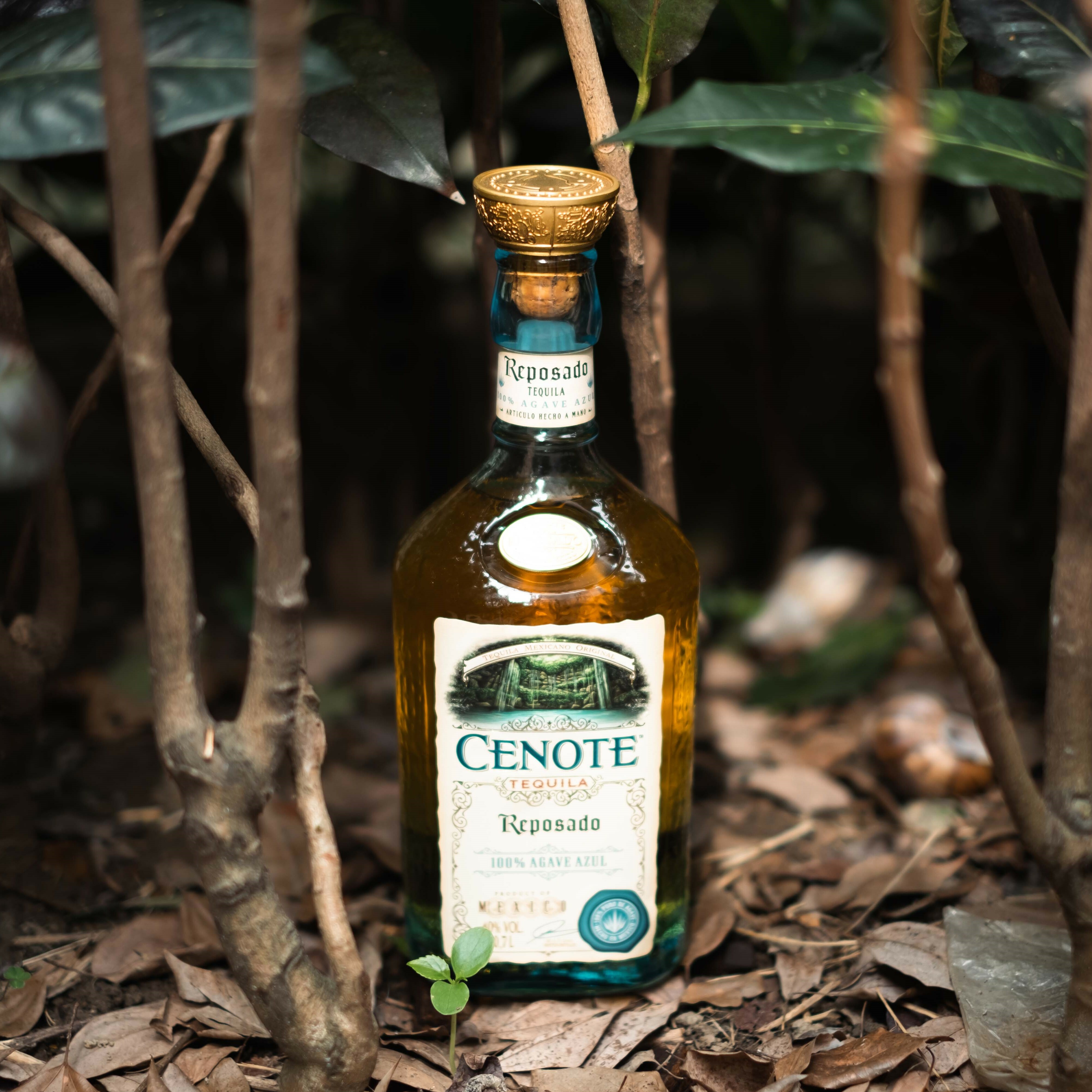 詢問單｜Tequila 龍舌蘭酒－沙諾特 Reposado｜北美・墨西哥