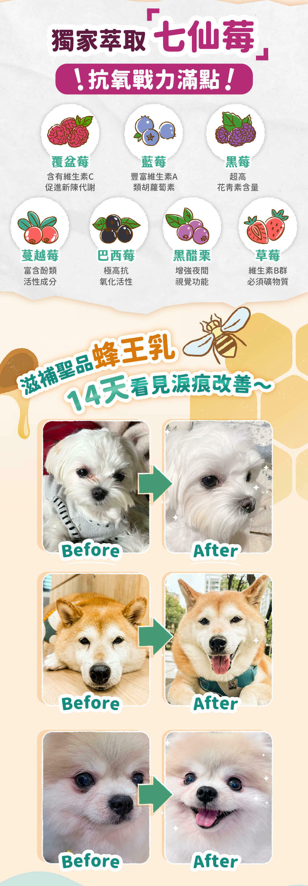 Blue Bay倍力®亮眼Pro－葉黃素粉裝 ( 眼睛、淚痕保健 )｜游離型葉黃素