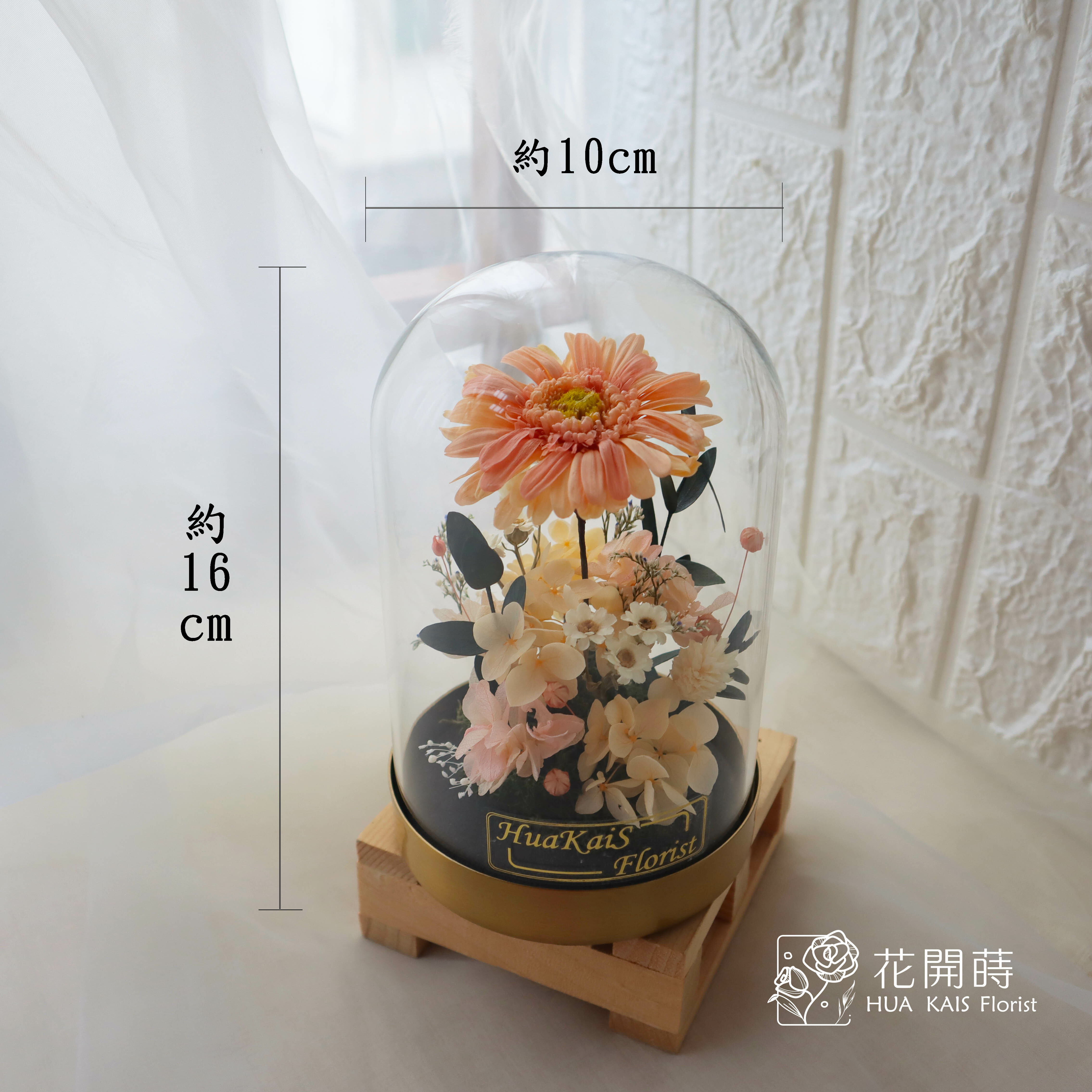 永生花玻璃罩|太陽花|畢業禮物|永生太陽花|情人節禮物|謝師禮物