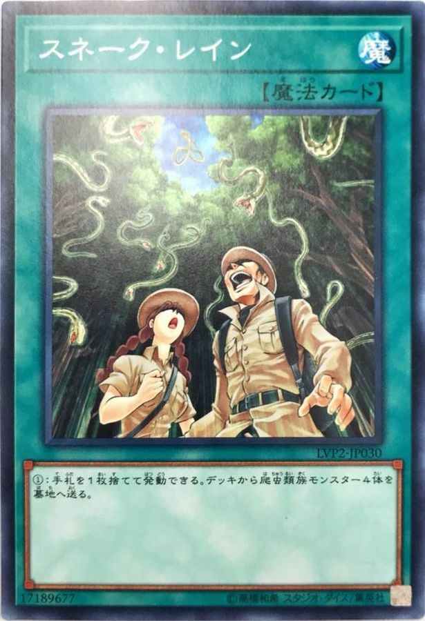 LVP2-JP030 スネーク・レイン