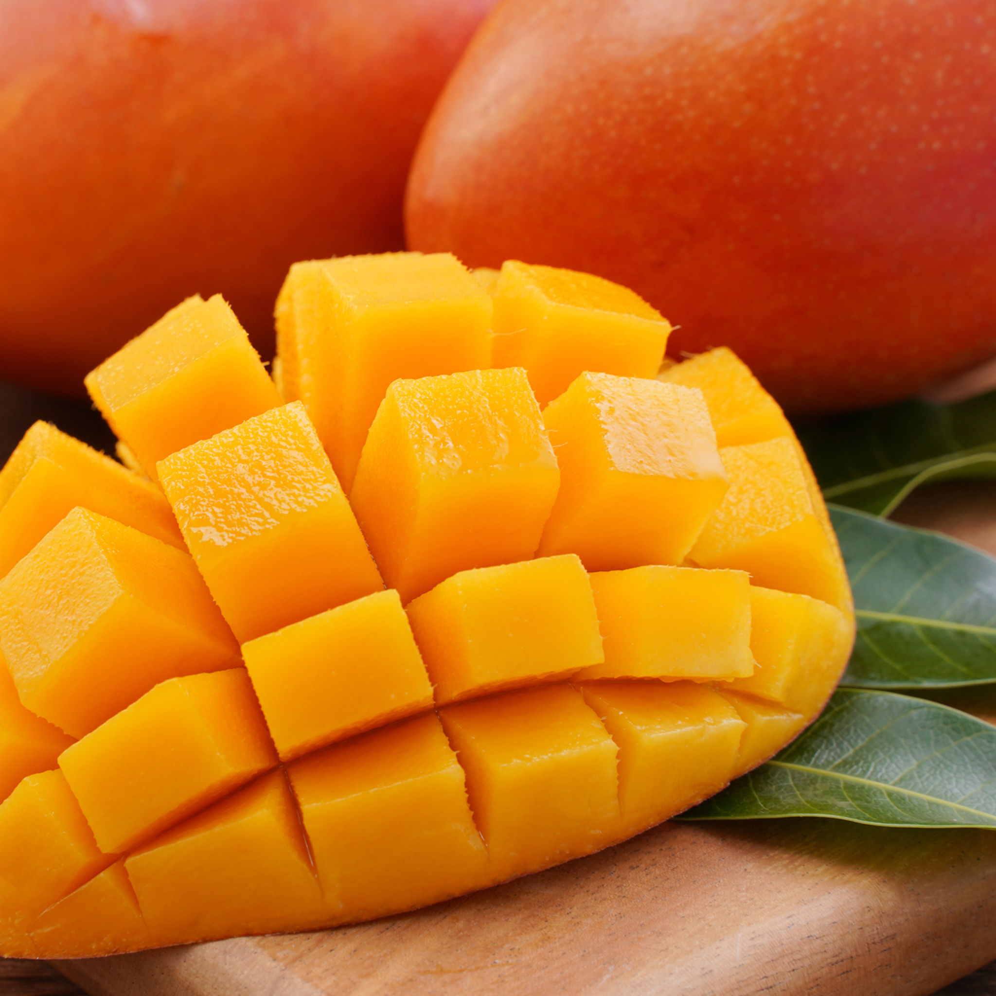 壽仙-精選一級枋山 愛文芒果