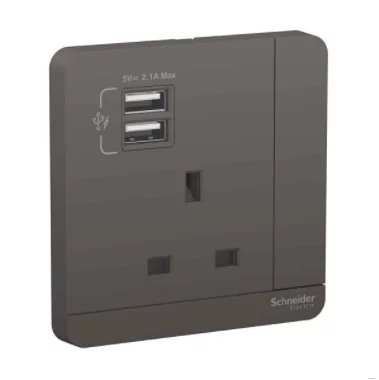 Schneider 施耐德 奐尚 13A單蘇有開關連USB 2.1A  (沉醉金/石墨灰/白色/胡桃木)