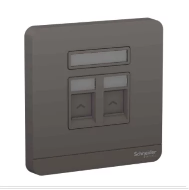Schneider 施耐德 奐尚 兩位RJ11電話及RJ45 5e類數據插座, Keystone面板備防塵活門 E8332TDRJS5_WG_C5（沉醉金/石墨灰/白色/胡桃木）