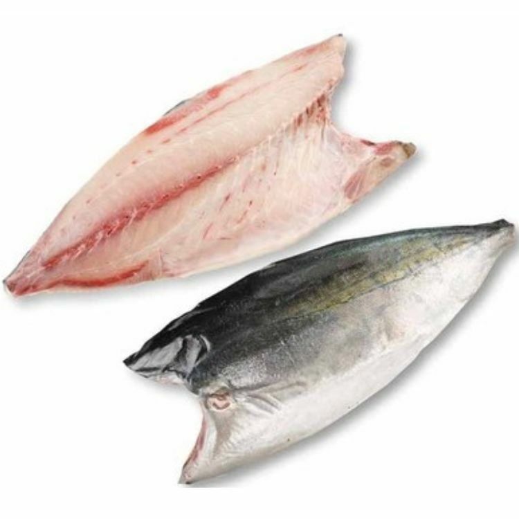 Japanese Frozen Hamachi Fillet Skin-on