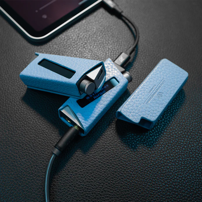 楽彼(LUXURY&PRECISION) W4 USB DAC アンプ ドングル型