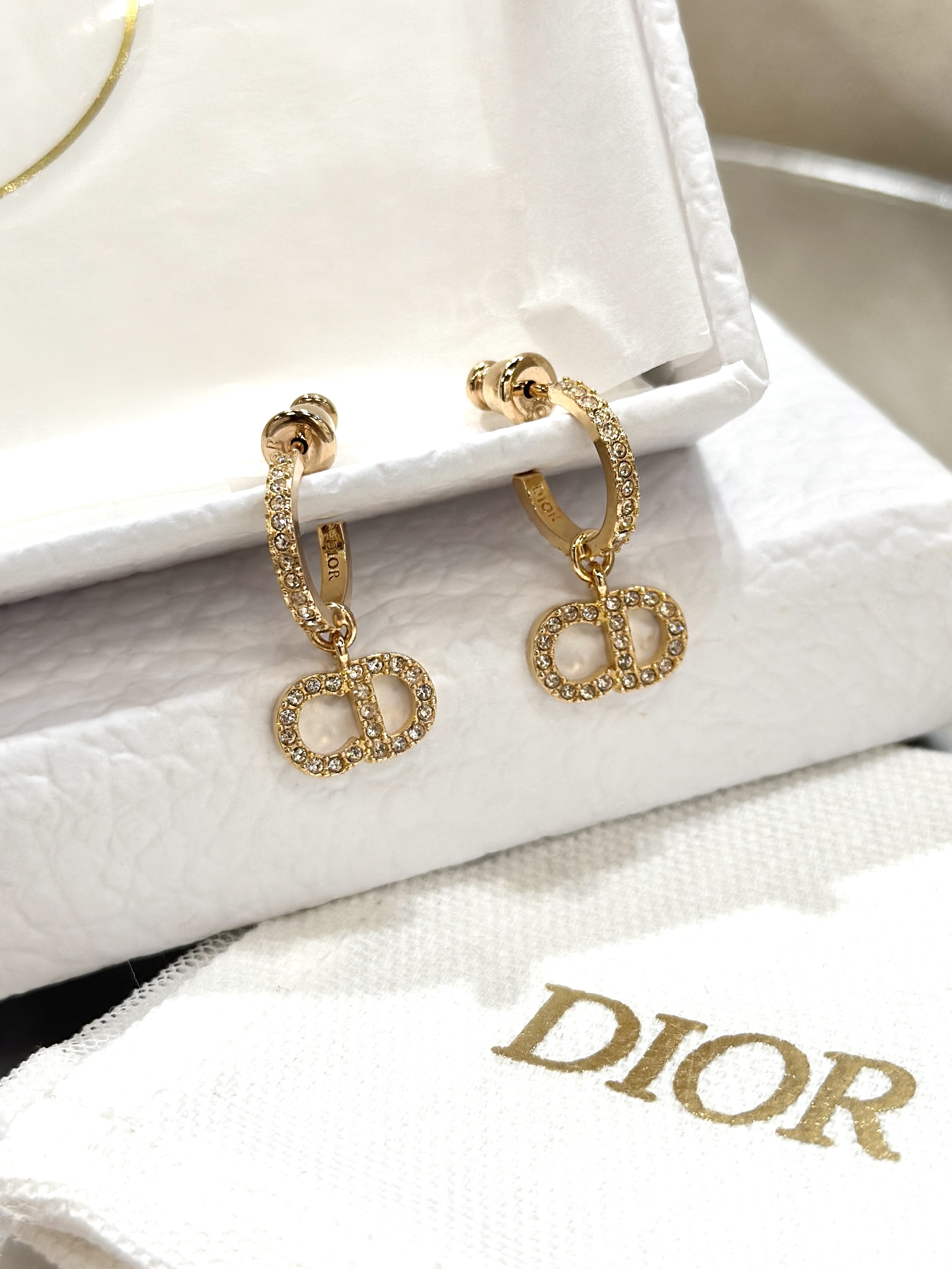 DIOR Clair D Lune Earrings E1740