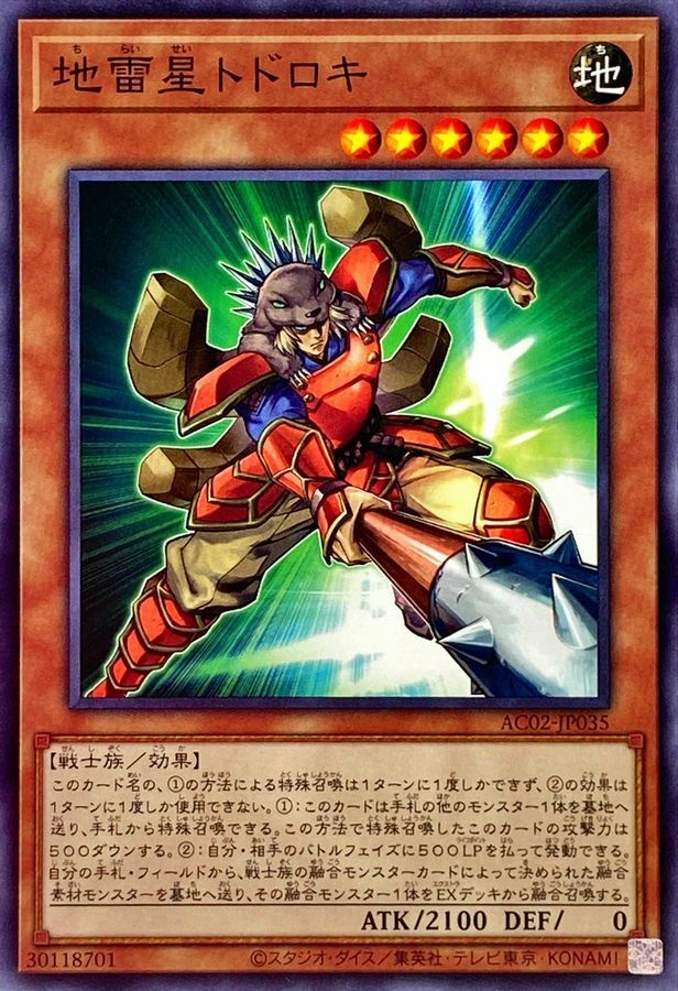 AC02-JP035 地雷星トドロキ