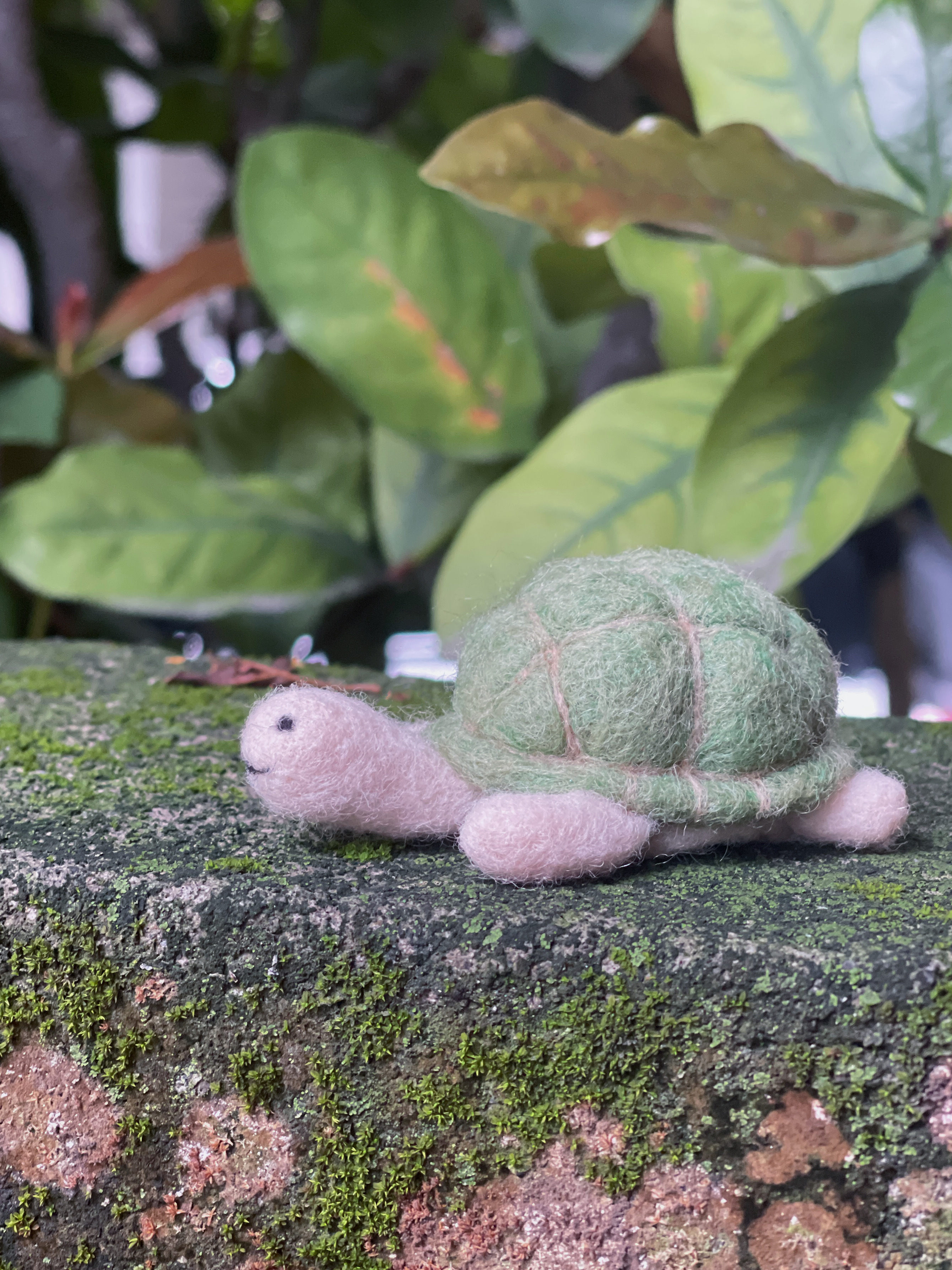 微醺羊毛氈小學堂針氈小海龜