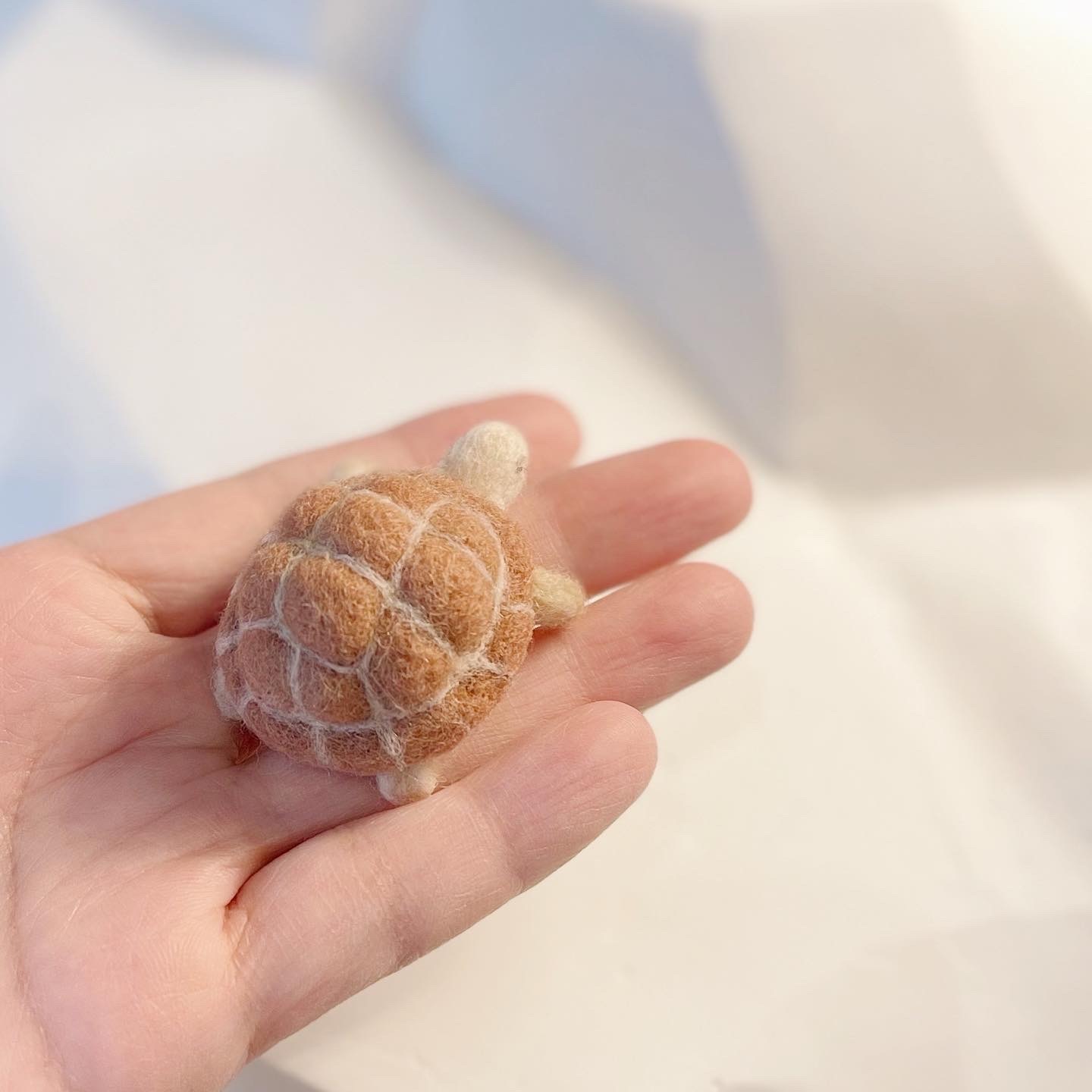 微醺羊毛氈小學堂針氈小海龜