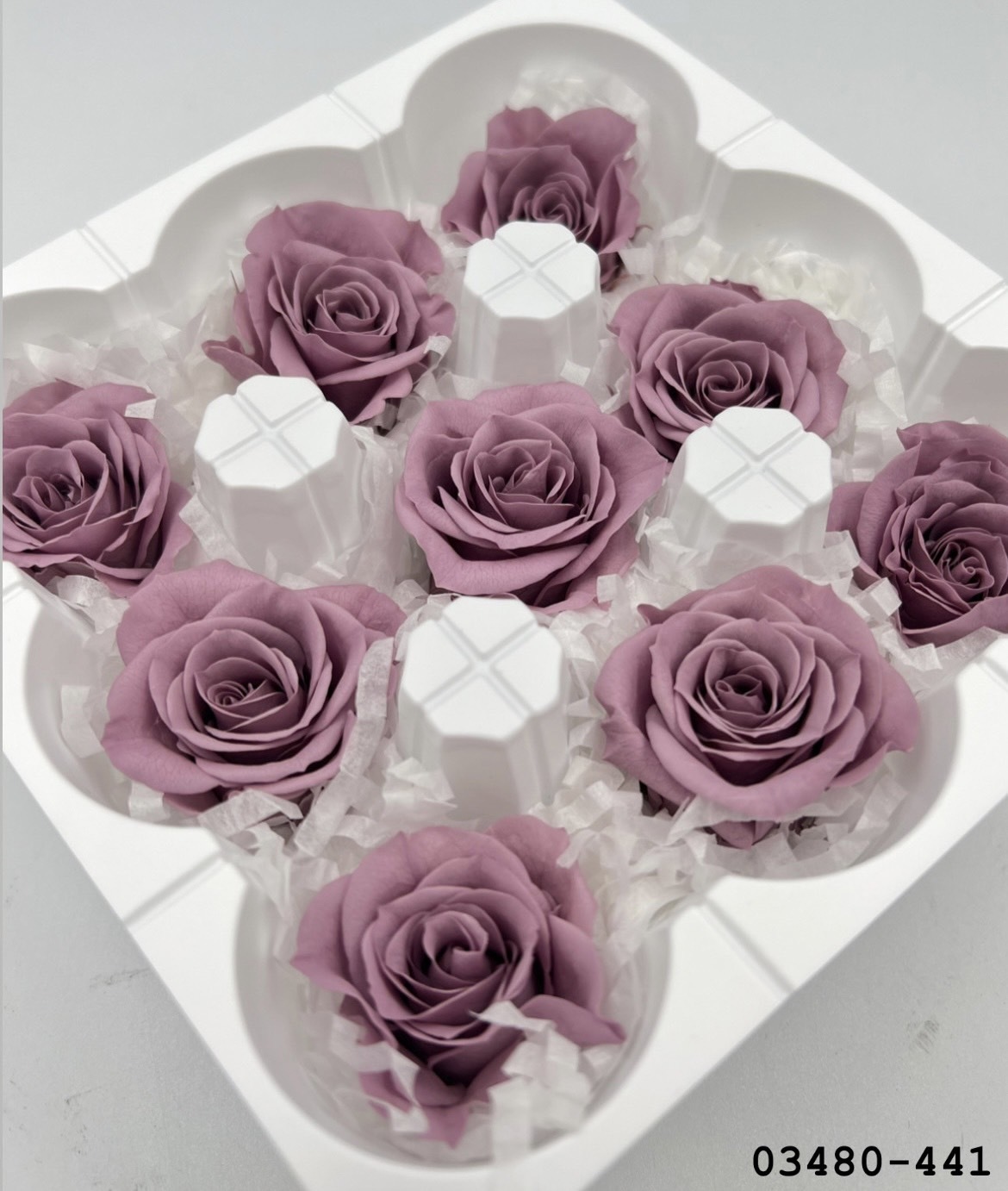 日本不凋中輪玫瑰(9朵) 03480-441