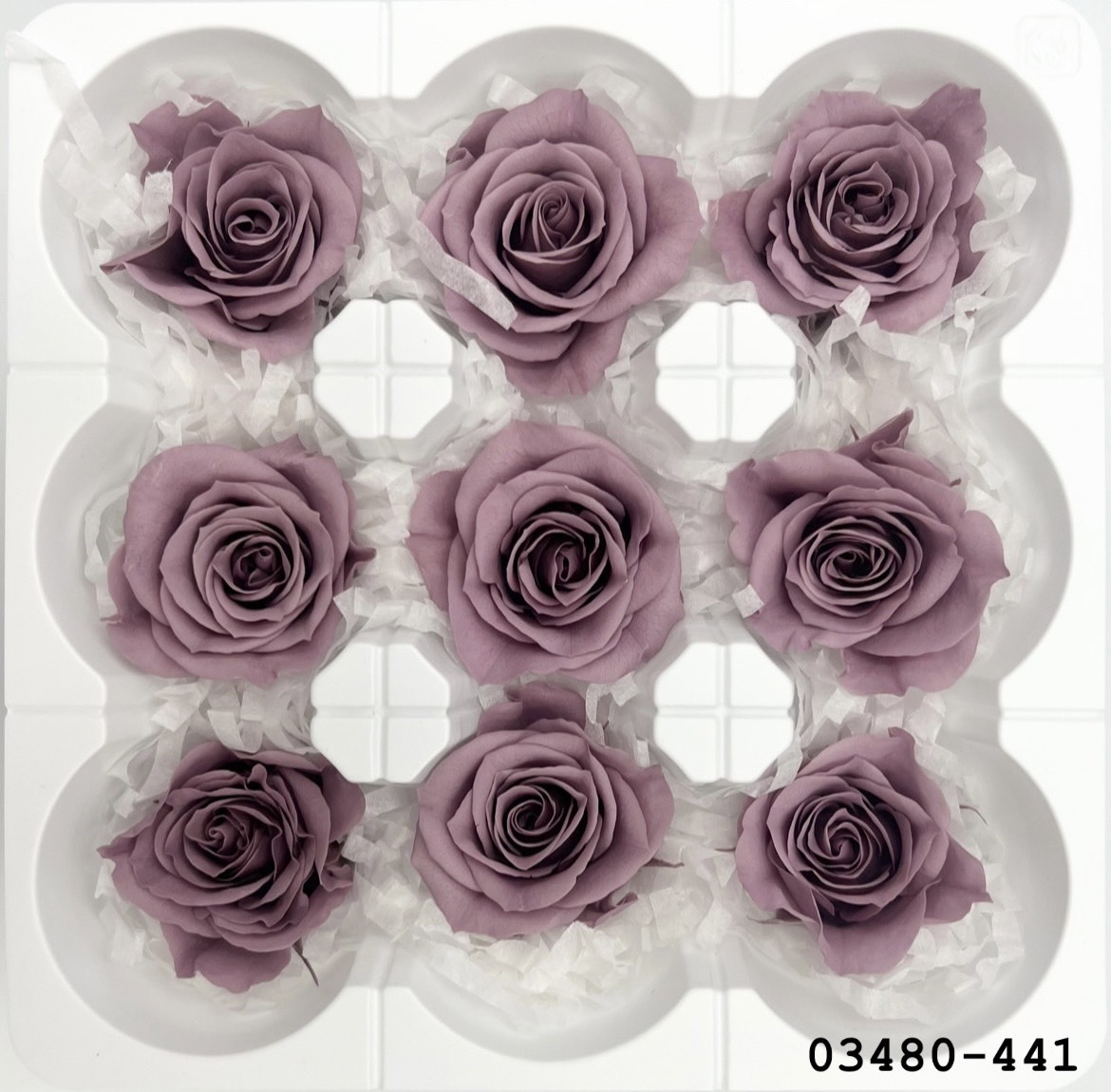 日本不凋中輪玫瑰(9朵) 03480-441