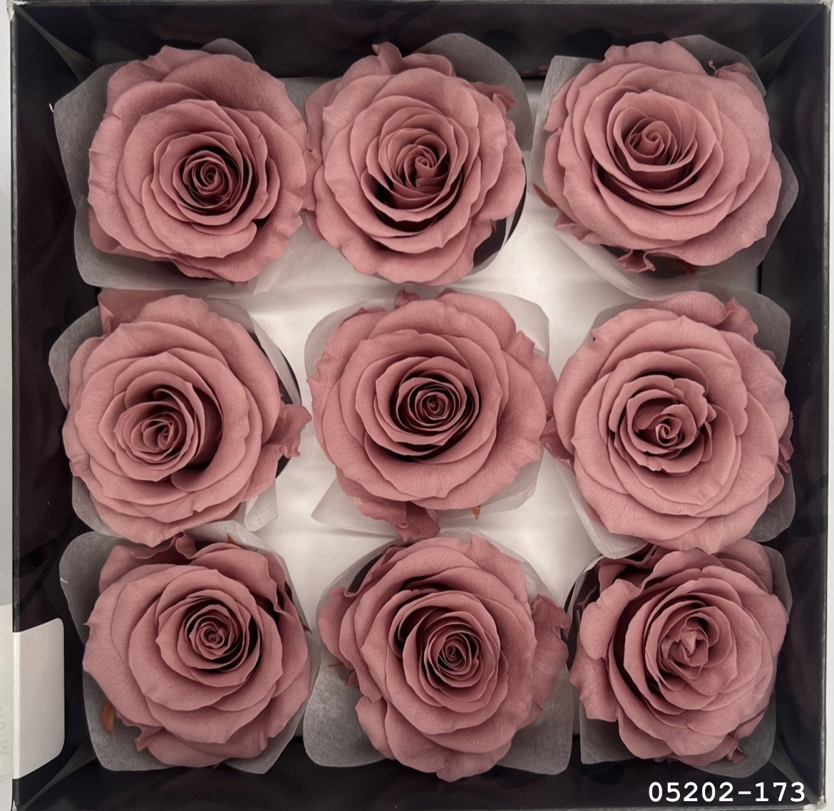 日本不凋大輪玫瑰(M-9朵) 05202-173