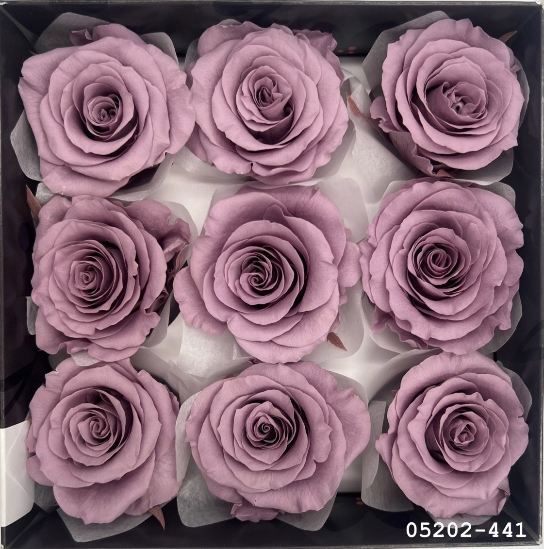日本不凋大輪玫瑰(M-9朵) 05202-441
