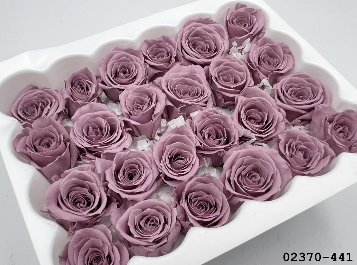 日本不凋迷你玫瑰(24朵) 02370-441