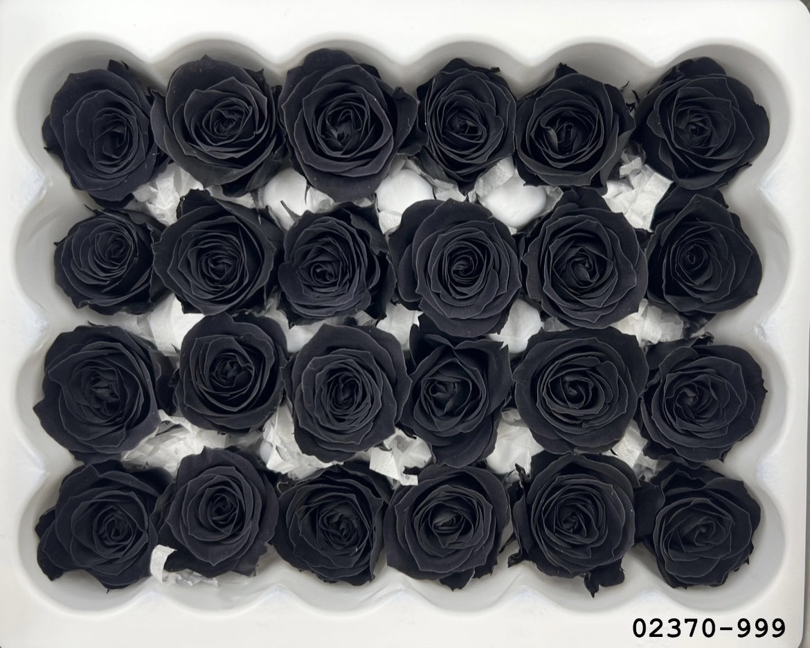 日本不凋迷你玫瑰(24朵) 02370-999